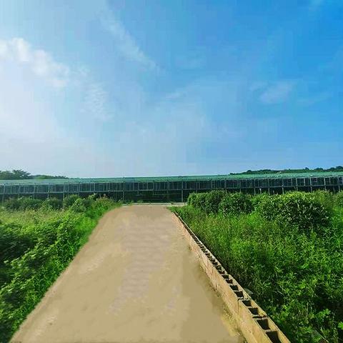 天地兴公棚最新公告发布