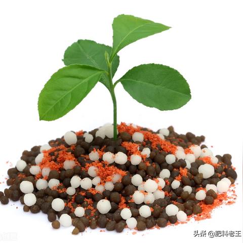 山东复合肥最新报价及市场动态分析