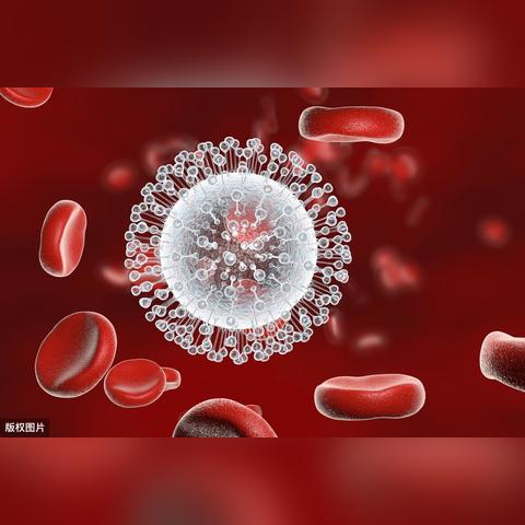 88rrss最新网站全面解析概览