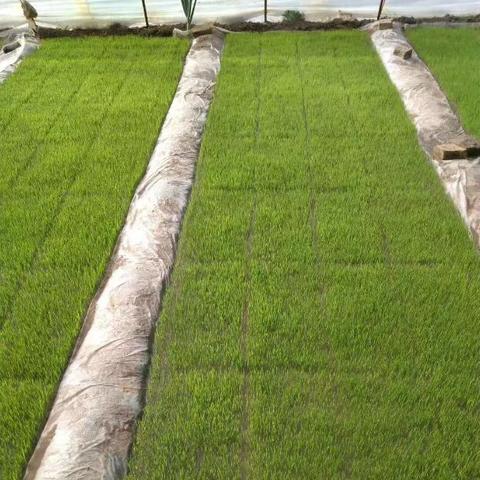 隆昌最新招聘信息概览(2025版)