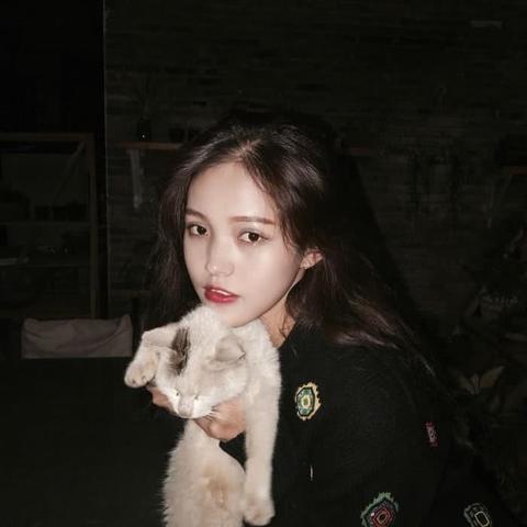 QQ个性网女生网名最新潮流趋势,时尚与独特风格融合