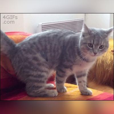 最新惩罚打屁屁视频，内容与影响分析