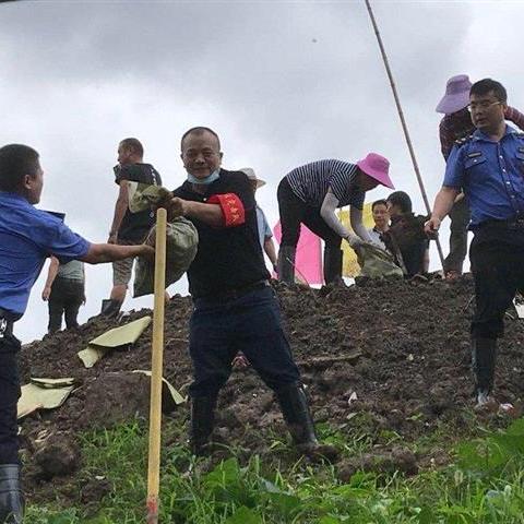 滠口南湖村未来规划揭秘