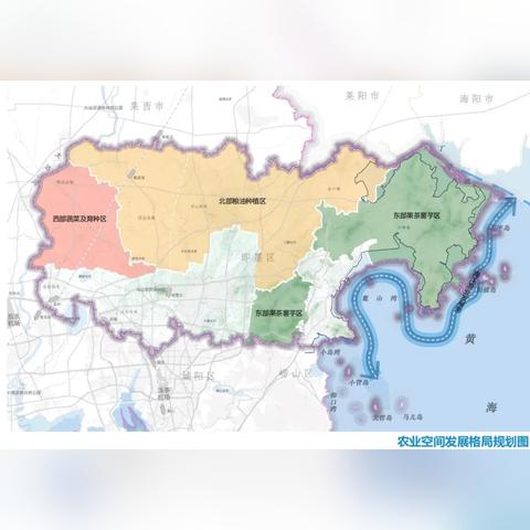 武汉江夏金口最新发展规划解析