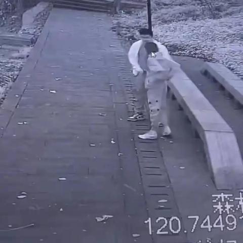 情侣清晨亲密行为，趋势探索与影响分析