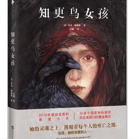 畅销外国小说概览，最新热门作品集结