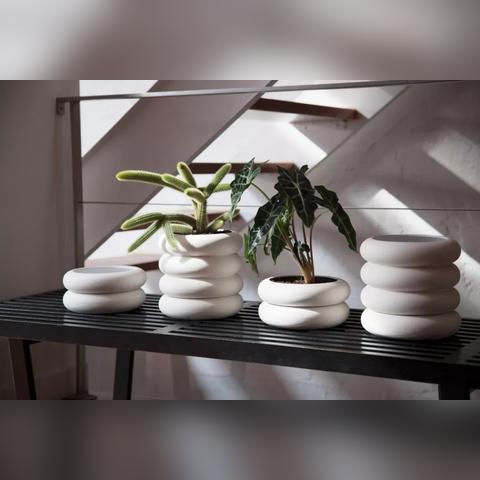 花符号流行趋势揭秘,时尚影响力与探索之旅