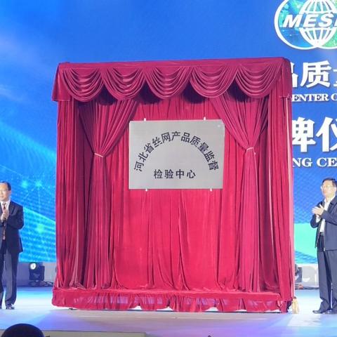 丝网花制作教程,从零开始,探索艺术世界