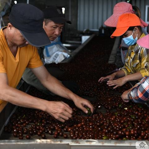 广西上思最新新闻动态