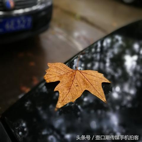 临钢2025规划，迈向钢铁产业新纪元发展之路