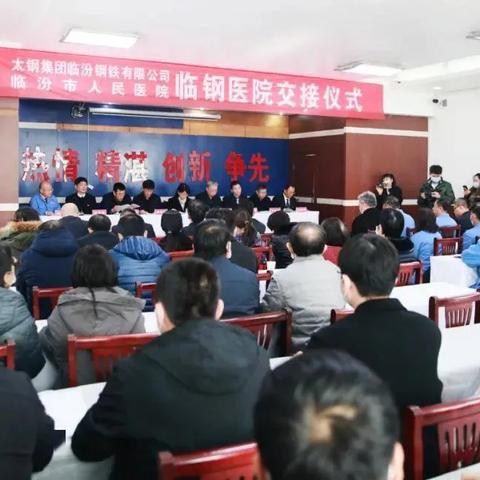 临钢2025规划,迈向钢铁产业新纪元发展之路