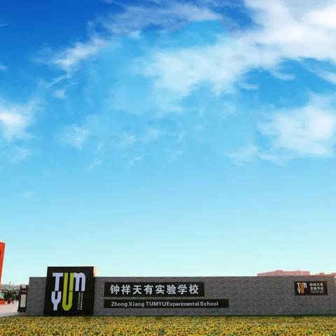 钟祥最新招聘信息全面解析