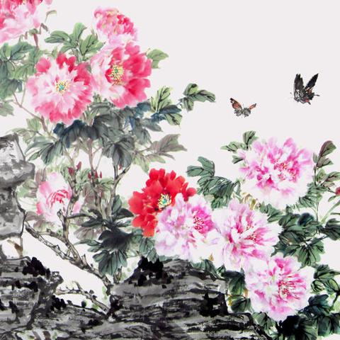 梅若牡丹绘画视频,艺术与技术的完美融合