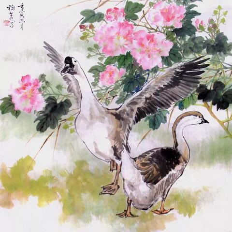 梅若牡丹绘画视频,艺术与技术的完美融合