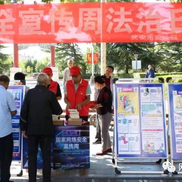 定州电信诈骗案深度解析