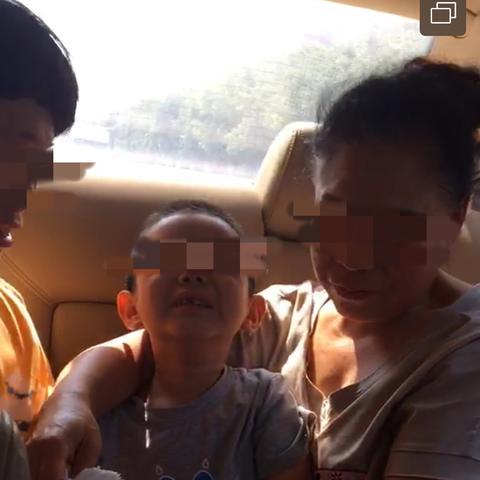 定州电信诈骗案深度解析