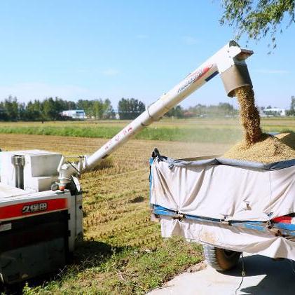 济南吴家堡最新进展消息速递