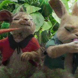 偷菜小分队下载指南与体验分享