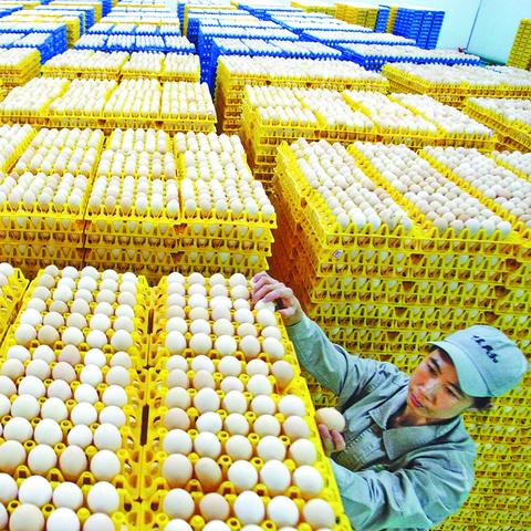 黑龙江鸡蛋最新行情分析