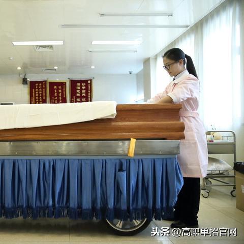 重庆单招最新消息，深度解析与洞察