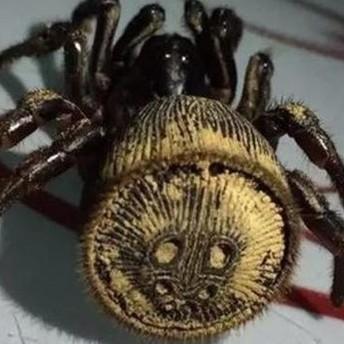 盐津新闻直播报道最新动态