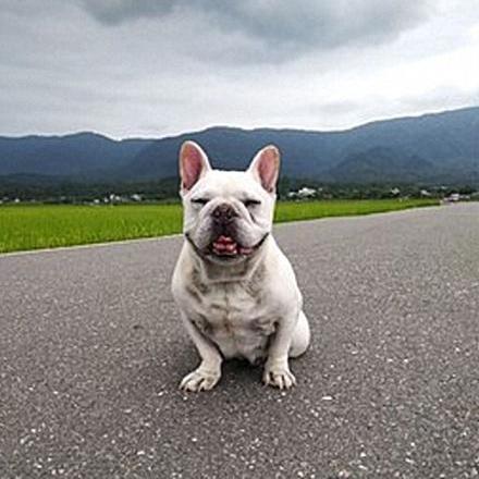 欢乐斗牛游戏下载，体验最新斗牛乐趣