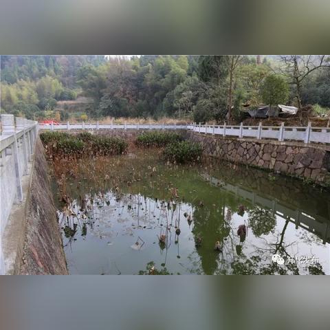 浙江开化干部最新任命，引领发展新篇章