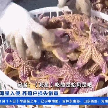 青岛大星电子招聘启事发布