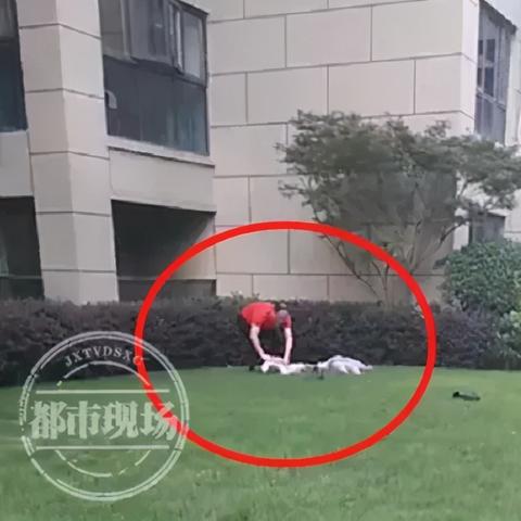 惠阳金碧蓝湾最新房价全面解析