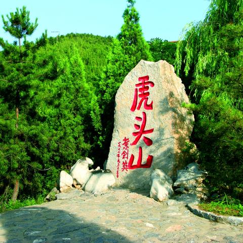 花开春暖,希望之光再现最新章节