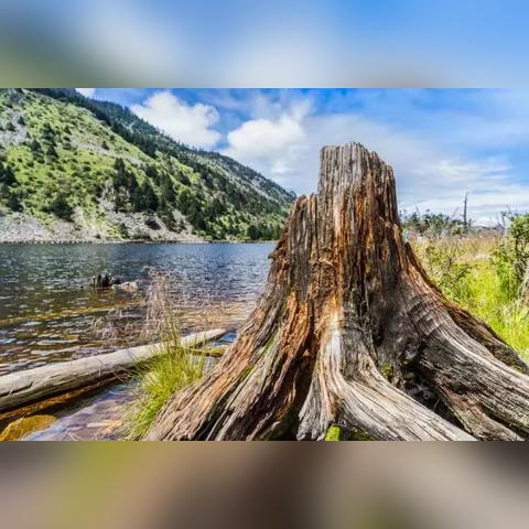 Ye321最新网址，数字世界探索门户