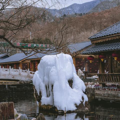 本溪小饭桌招聘启事,寻找优秀人才