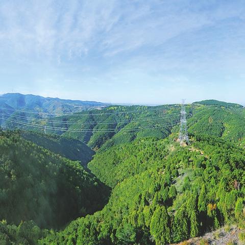 最新轧钢高线招聘启事