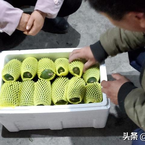 淄博博发市场最新价格走势分析