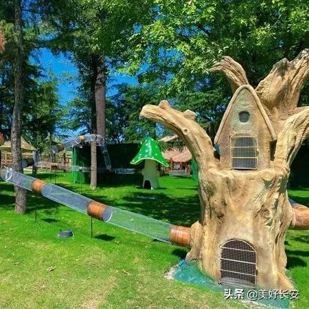 山野村色晨曦希望，最新章节揭秘