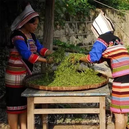 长株攸公路最新进展消息