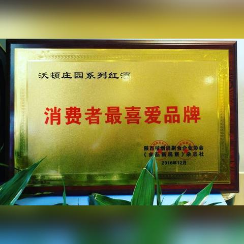 陕西加油站转让全面解析及数据洞察报告