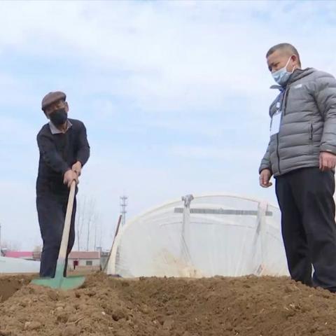 泗水土豆最新行情分析