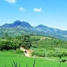 绝世邪神章节列表及深度解析