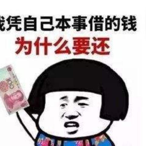 最新黑户贷款口子解析,深度分析与数据解读