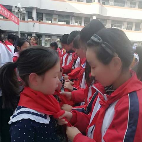 栾川教育动态速递，最新资讯一网打尽