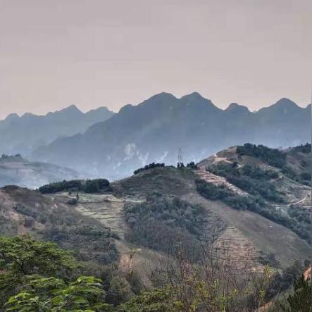 安顺镇宁新闻热点事件速递