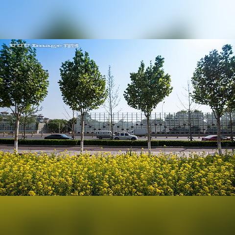 亦庄北岸房价最新动态分析