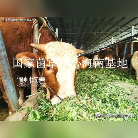 2025年云南招聘趋势及行业人才需求深度解析