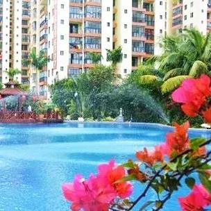 西地华府淄博最新房价及市场趋势深度解析