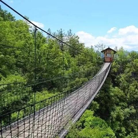 中国保康最新干部公示名单发布