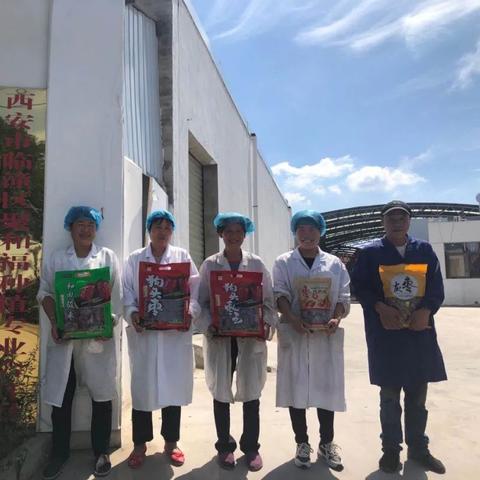 临潼区十三五规划展望，未来发展新蓝图