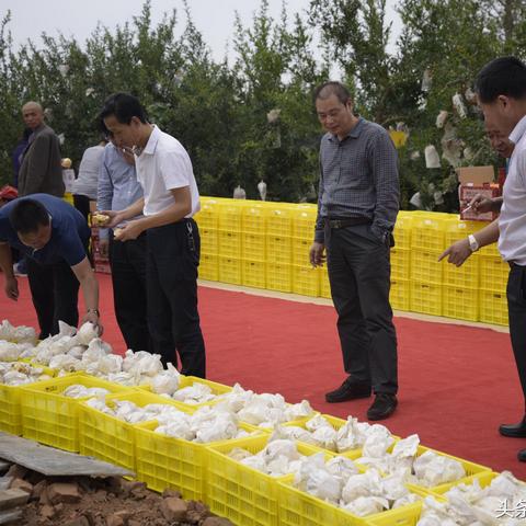 临潼区十三五规划展望,未来发展新蓝图