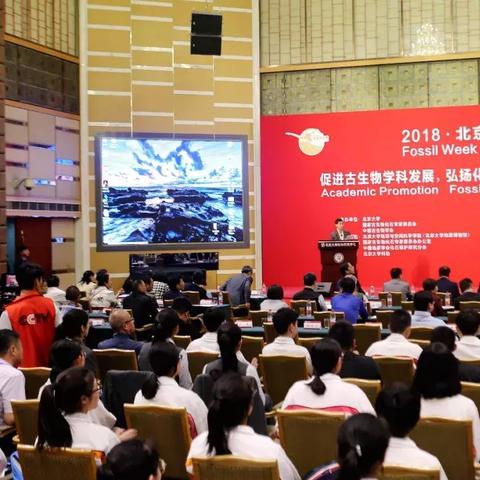 延吉恐龙最新科研进展与保护成果揭秘