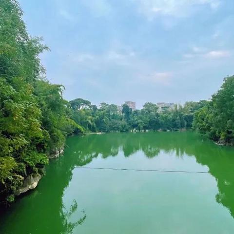 武鸣九个半岛最新进展信息速递